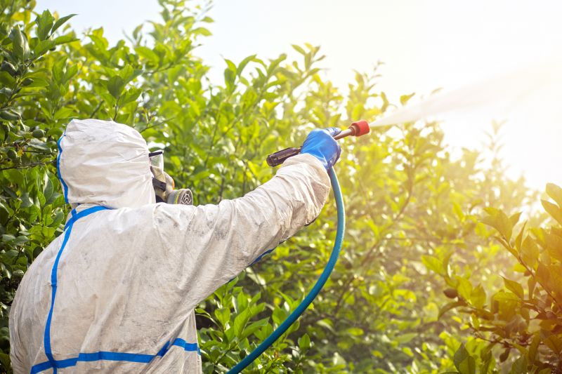 Fumigation Service in Santa Fe, NM
