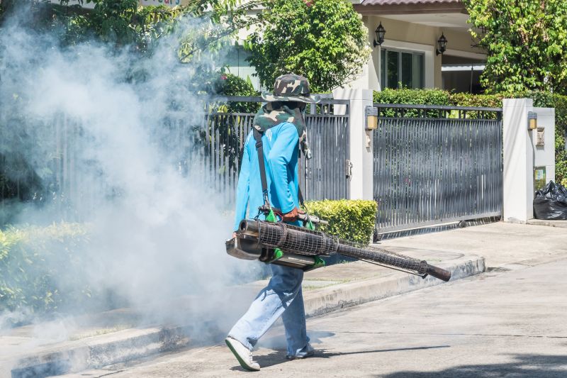 Roach Fumigation in Coeur D Alene, ID