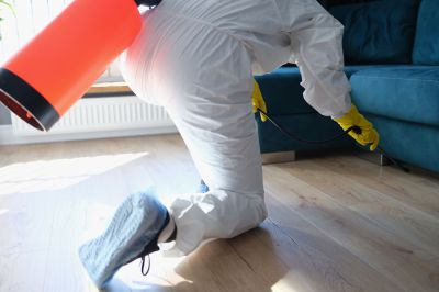 Commercial Fumigation in Marietta, GA